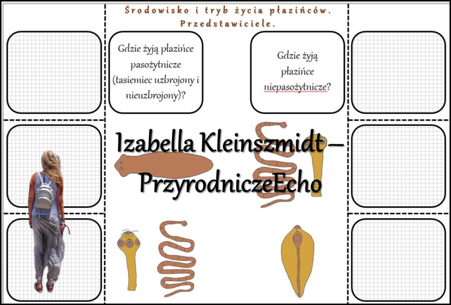 Notatka okienkowa/stacja zadaniowe/notatka interaktywna/notatka graficzna/karta pracy/sketchnotka „Płazińce”, „Płazińce - zwierzęta, które mają płaskie ciała” w pdf. Biologia 6 , dział „Od parzydełkowców do pierścienic”. Materiał wykonany na podstawie po