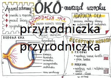 Klasa 7. Biologia. Oko (Sketchnotka)