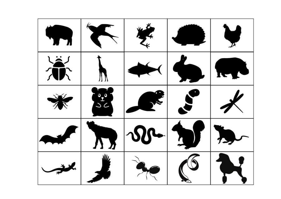 Bingo ortograficzne (24 plansze) format 5x5.