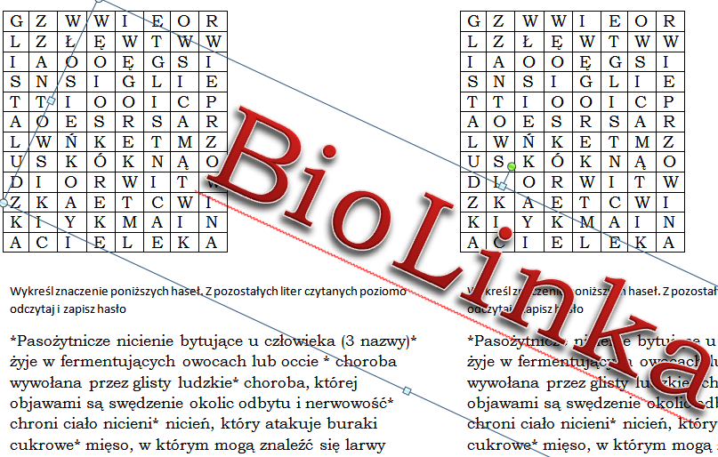 Wykreślanka dla klasy 6 na podsumowanie lekcji o nicieniach