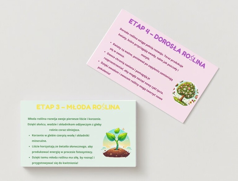 PLANSZA - Cykl życia roślin