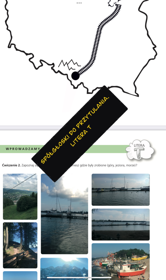 Spółgłoski do przytulania. Monografia litery T