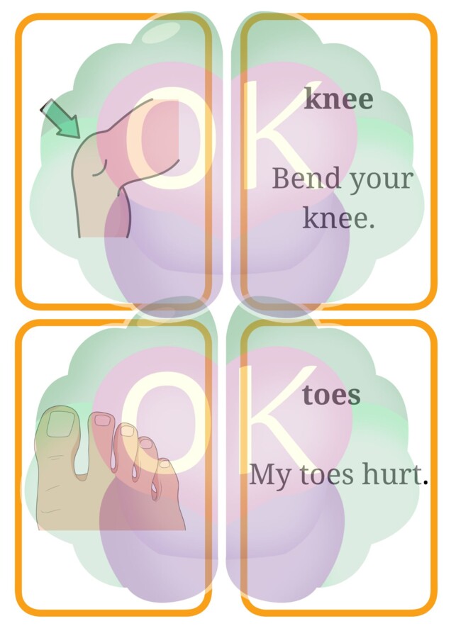 Flashcards: Body Parts • Food • Toys