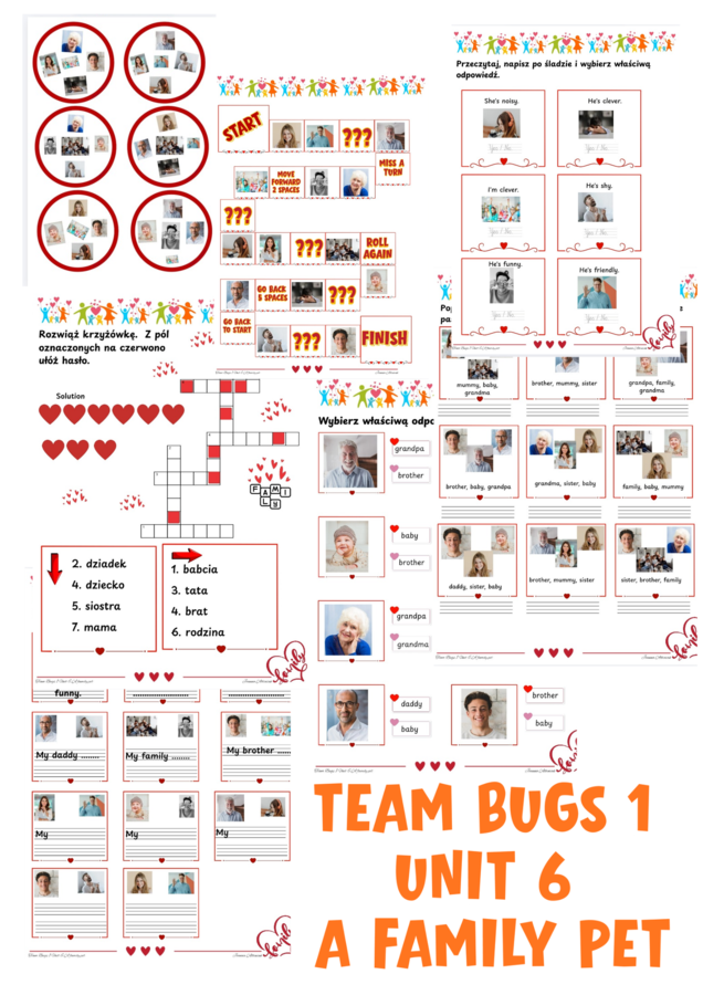 Karty pracy - Team Bugs 1 unit 6 A family pet