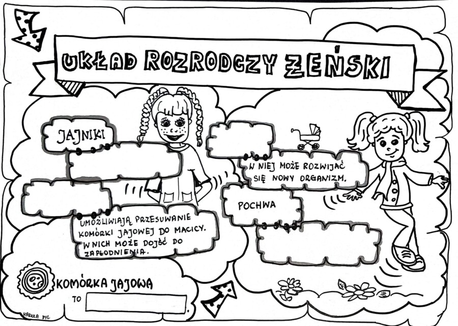 Klasa 4. Przyroda: Układ rozrodczy żeński (dwie karty pracy).