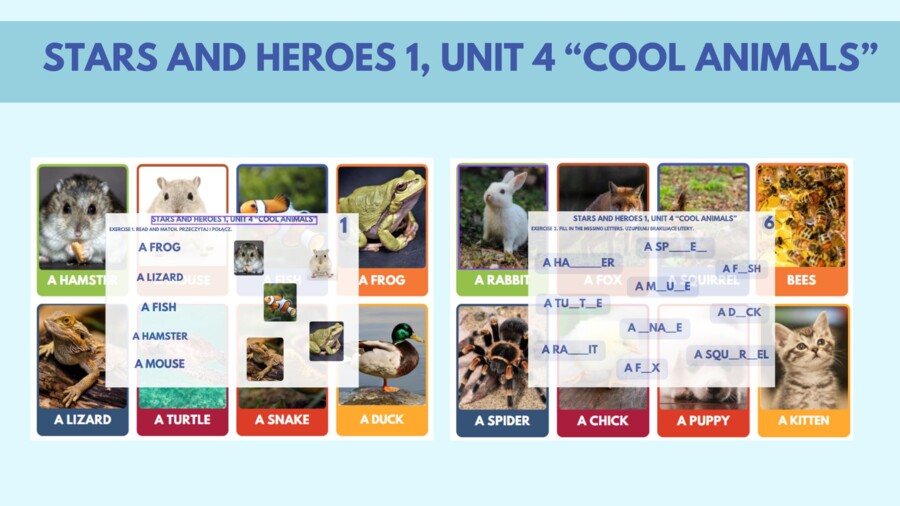 STARS AND HEROES 1 UNIT 4 - COOL ANIMALS, Flashcards & exercises