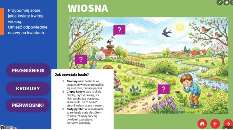 Wspomaganie na ekranie - WIOSNA