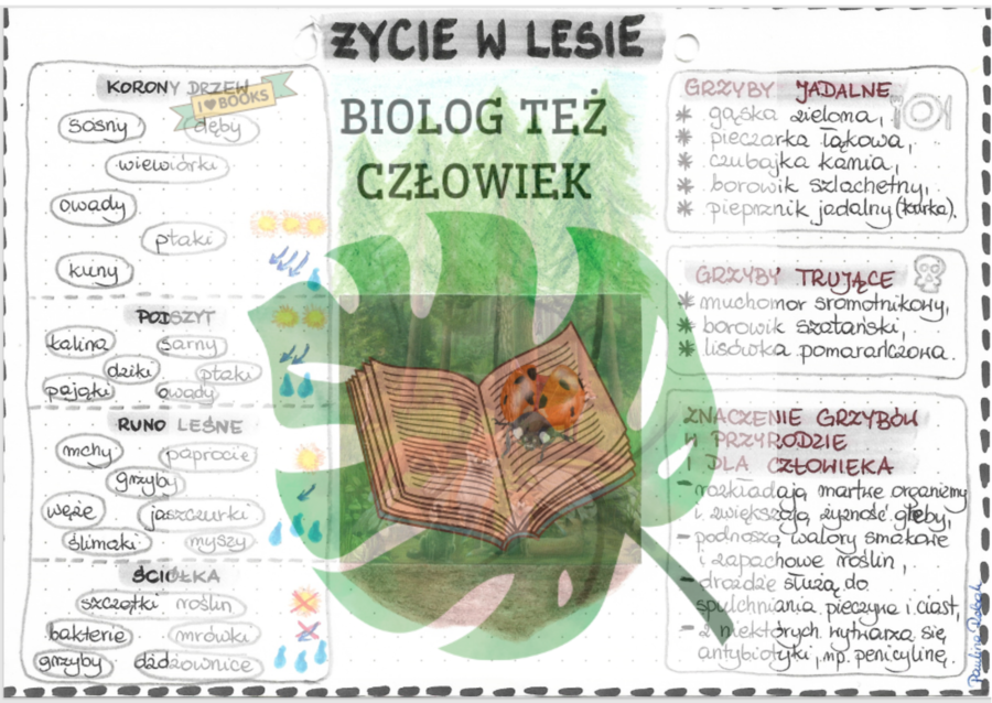Życie w lesie - kolor