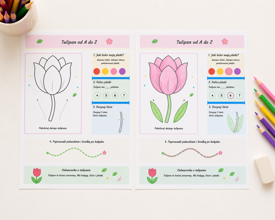 Tulipan od A do Z. Karta pracy dla 5-6 latków