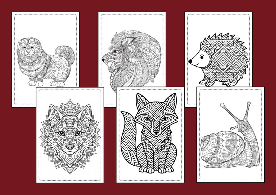 🦁 🐯 66 mandali do druku – idealne na DZIEŃ ZWIERZĄT 🦊 - kolorowanka – mandala – jesień – biblioteka – świetlica - gazetka