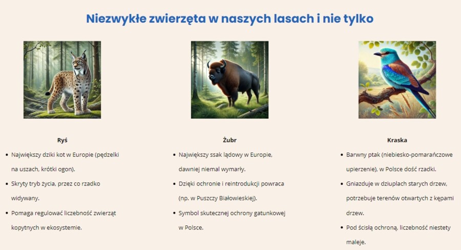 Bioróżnorodność. Prezentacja