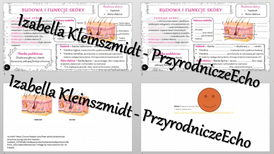 Minizestaw na temat „Budowa i funkcje skóry” – sketchnotka + karta pracy w power point + gratisowy link do prezentacji multimedialnej niekomercyjnej wykonanej w genial.ly do indywidualnego pobrania i użycia do celów niekomercyjnych. Biologia 7, „Organizm