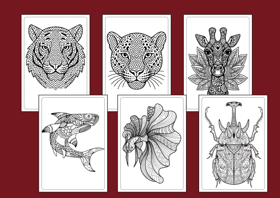 🦁 🐯 66 mandali do druku – idealne na DZIEŃ ZWIERZĄT 🦊 - kolorowanka – mandala – jesień – biblioteka – świetlica - gazetka