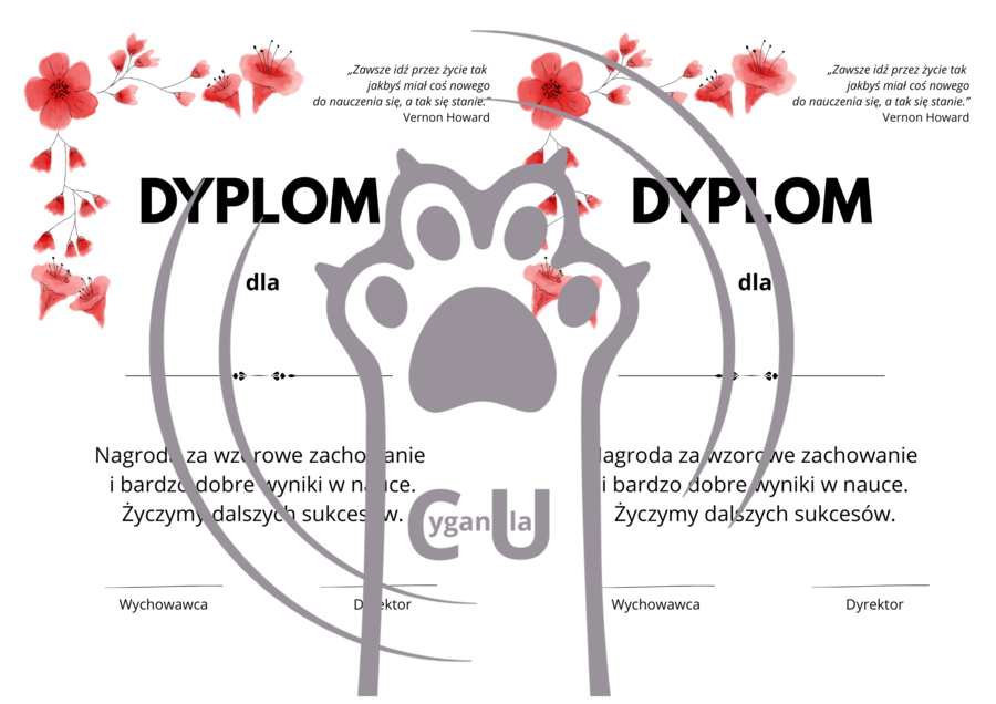 Dyplomy / wkładki na zakończenie roku szkolnego