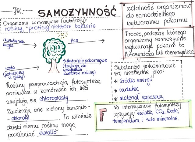 Samożywność (sketchnotka)