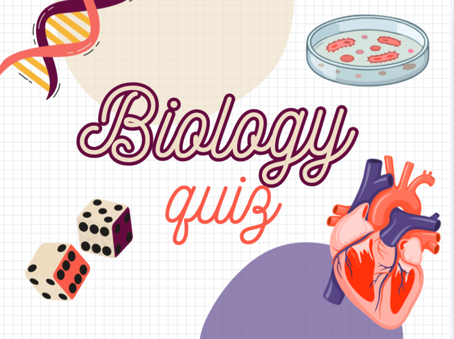 biologiczny quiz, turniej wiedzy, podsumowanie całego roku, lekcja biologii
