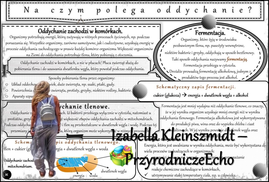 Zestaw sketchnotek/notatek/streszczeń/wklejek/ściąg dla ucznia i nauczyciela w pdf. Biologia 5 dział „Organizacja i chemizacja życia”. Notatki zostały wykonane na podstawie podręcznika z wydawnictwa WSiP.