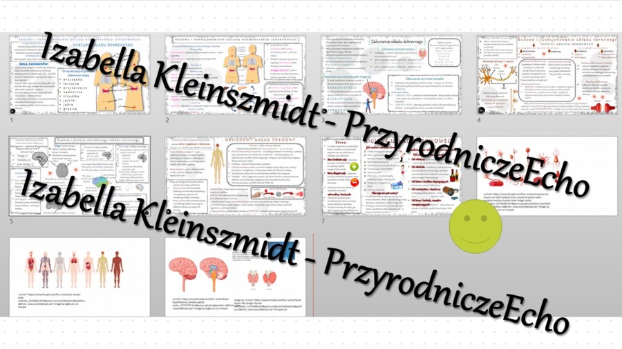 Zestaw sketchnotek – notatek do całego działu „Regulacja nerwowo-hormonalna” wykonanych w power point do edycji. Biologia 7