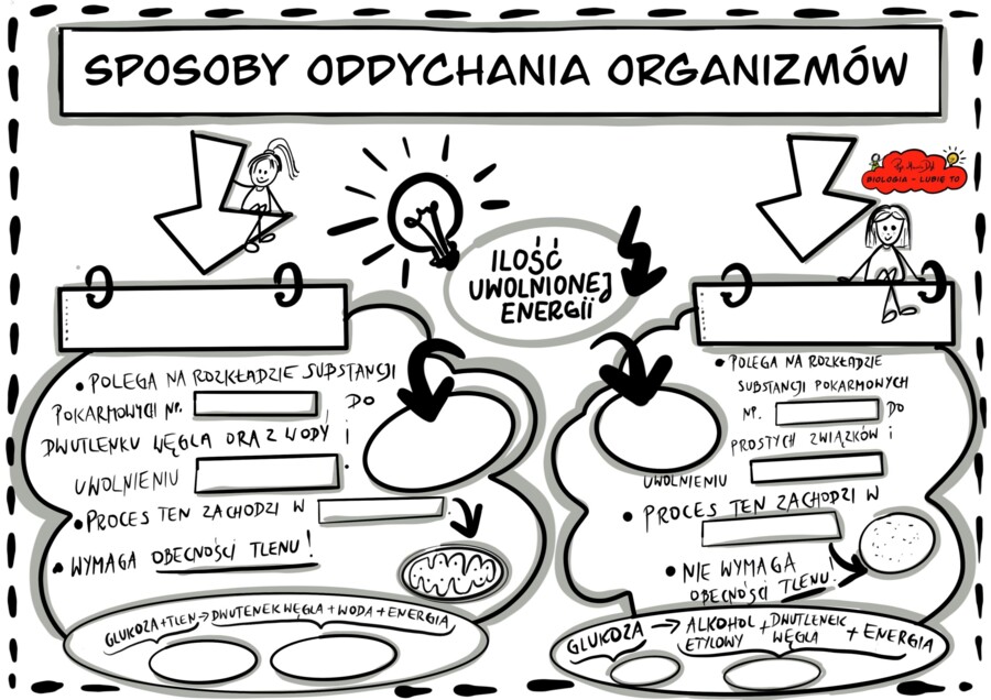 Klasa 5. Biologia. Karta pracy. Sposoby oddychania organizmów. (Karta pracy do uzupełnienia)