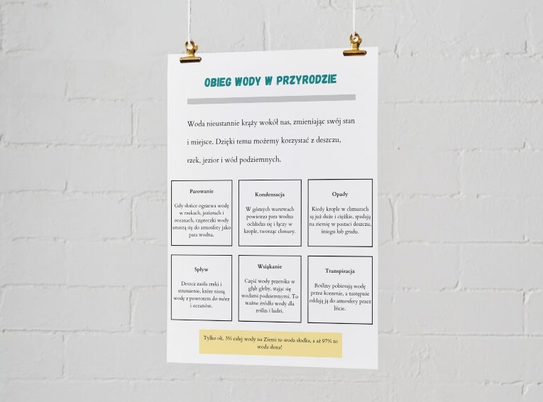 Infografiki edukacyjne. Zasady segregacji odpadów. Obieg wody w przyrodzie. Dlaczego pszczoły są ważne?