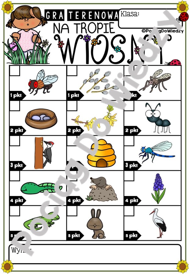 Wiosna - Gra Terenowa