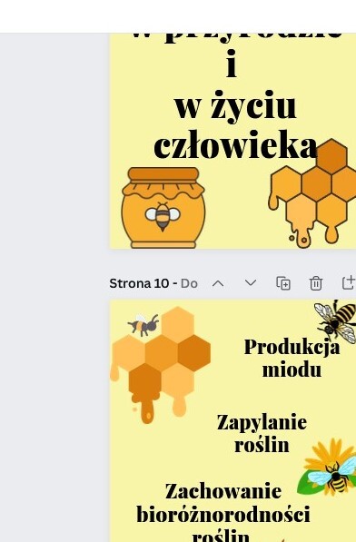 Światowy Dzień Pszczół