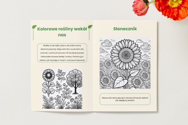 Kolorowanki. Zwierzęta. Rośliny. Grzyby. Ekosystemy