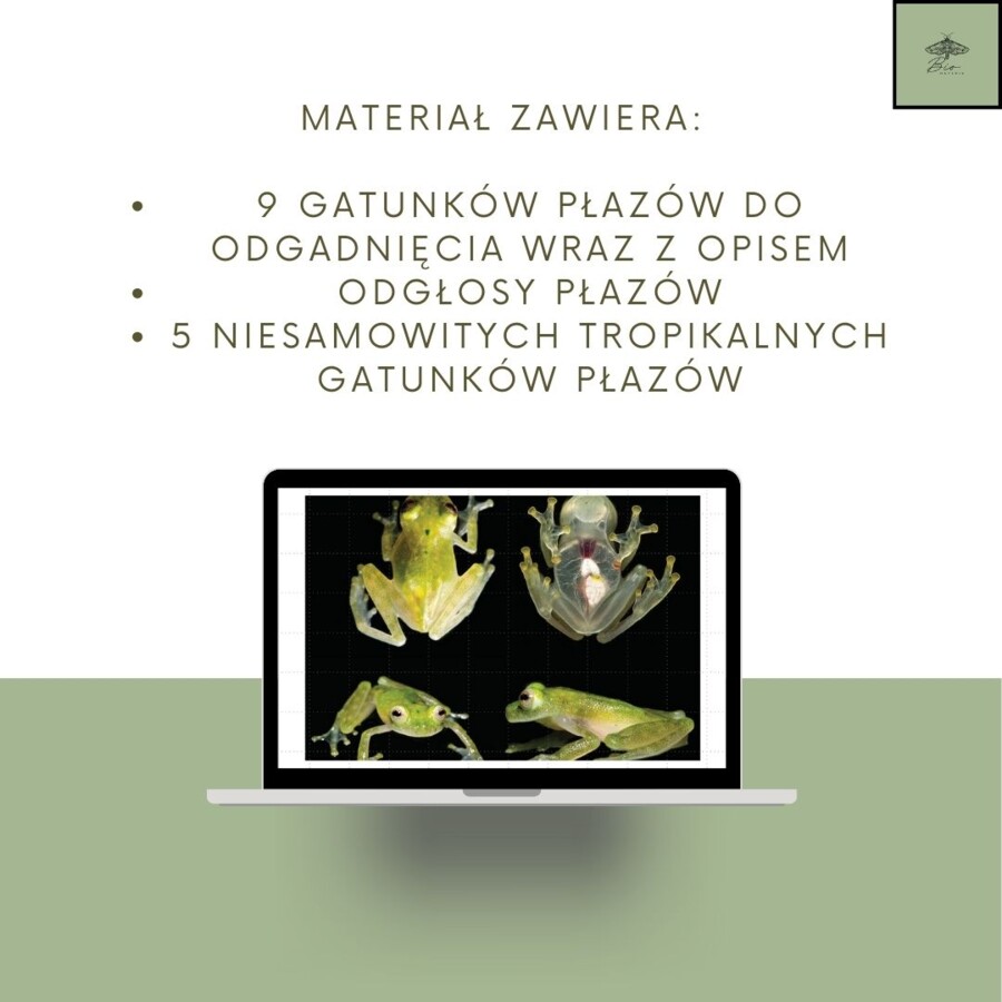 Przegląd i znaczenie płazów - gra zgadnij kto to Z ODGŁOSAMI