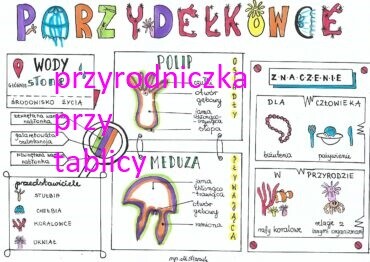 Klasa 6. Biologia. Parzydełkowce