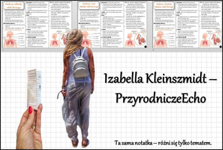 Książeczka/broszurka/notatka/sketchnotka/wklejka/ściąga dla ucznia/przypomnienie dla nauczyciela - w pdf. – „Budowa układu oddechowego”, „Budowa i rola układu oddechowego”, Budowa i funkcje układu oddechowego”. Biologia 7. Dział „Układ oddechowy”. Na pod
