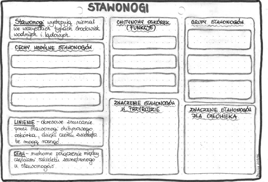 Stawonogi – klasa 6 – szarość