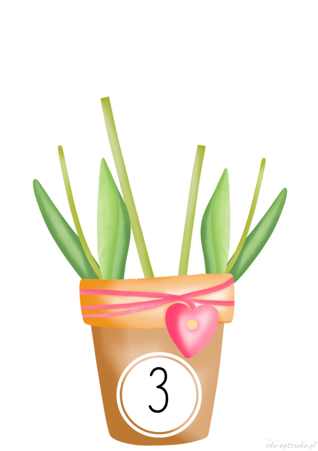 Matematyczne tulipany