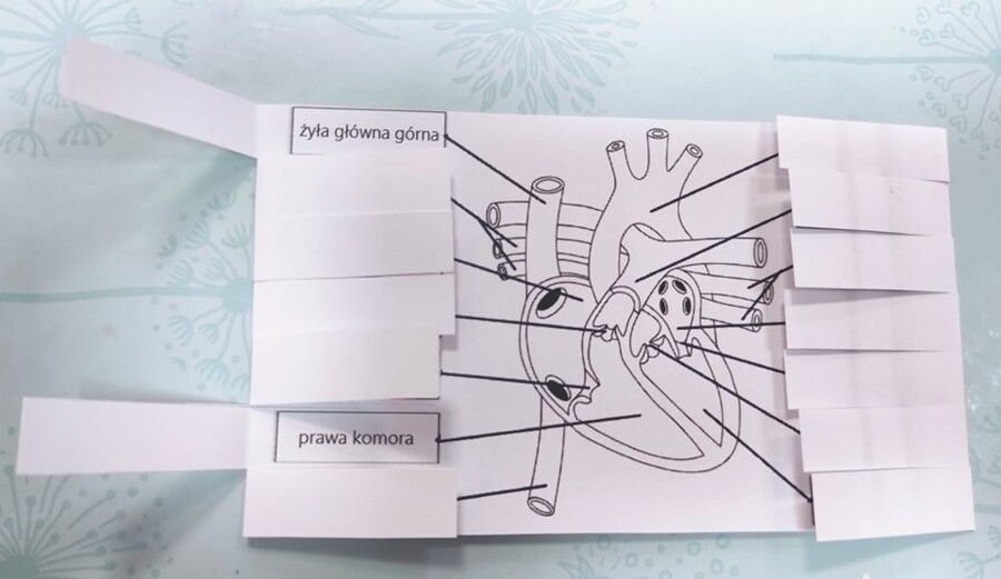 Serce - okienkowa notatka