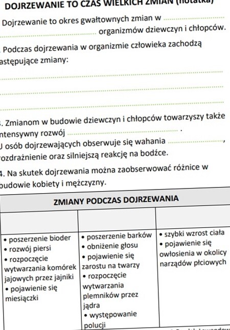 Dojrzewanie to czas wielkich zmian (karta pracy)