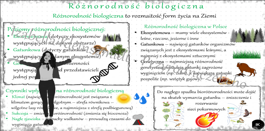 Sketchnotka „Różnorodność biologiczna”. Biologia klasa 8, dział IV „Człowiek i środowisko”