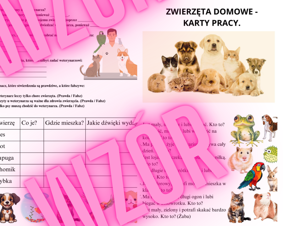 Karty Pracy - Zwierzęta domowe - 24 karty pracy