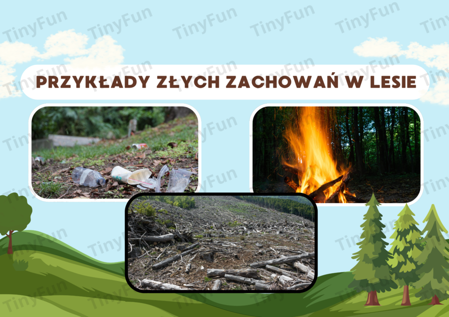 Prezentacja: Międzynarodowy Dzień Lasu – las, zwierzęta, warstwy lasu, edukacja przyrodnicza