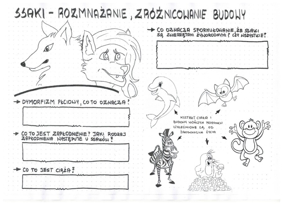 Ssaki - zróżnicowanie budowy ciała - klasa 6- KP