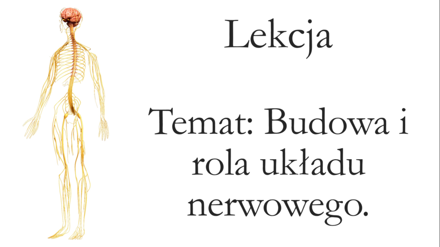 Klasa 7 - Budowa i rola układu nerwowego - prezentacja