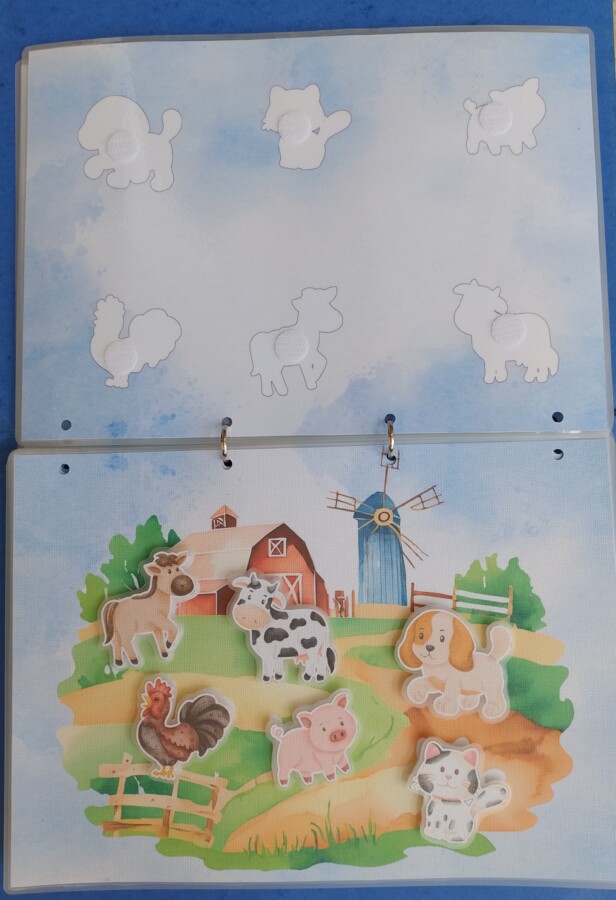 Zwierzęta i ich cienie