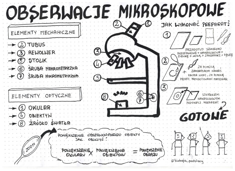 Obserwacje mikroskopowe - klasa 5 - sketchnotka