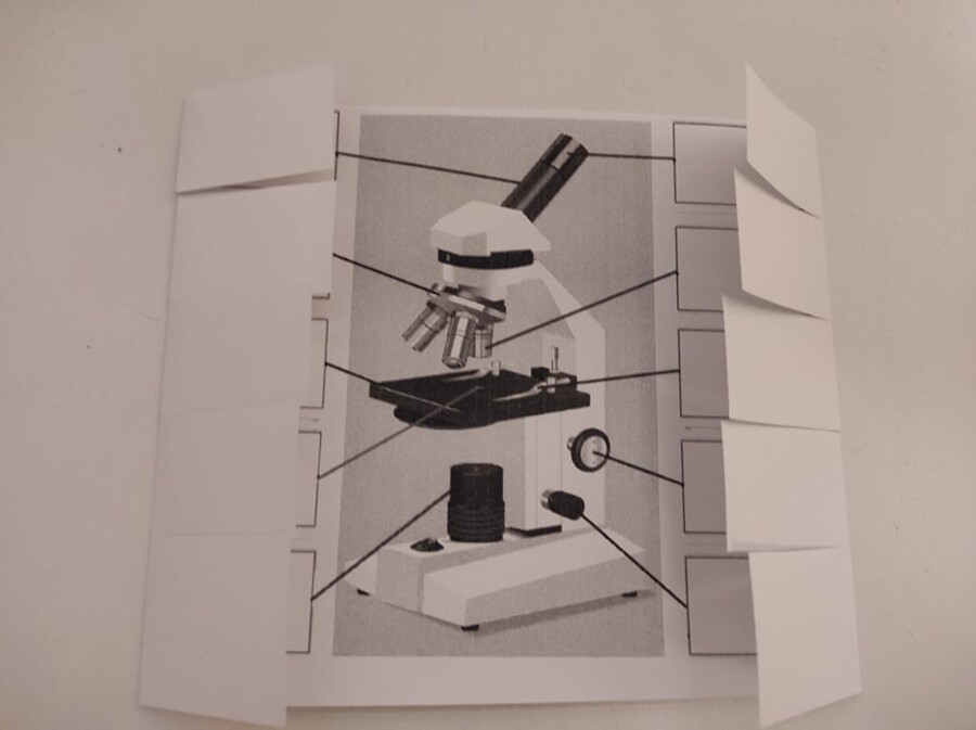 Mikroskop / Microscope - okienkowa notatka po angielsku