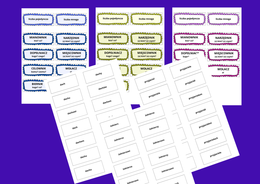 Odmiana rzeczownika przez PRZYPADKI - fiszki - 10 stron - kl. 4- 8
