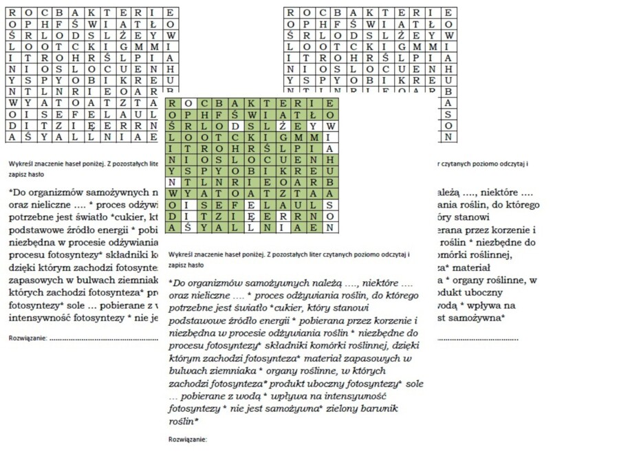 Wykreślanka dla klasy 5 na podsumowanie lekcji o odżywianiu się roślin