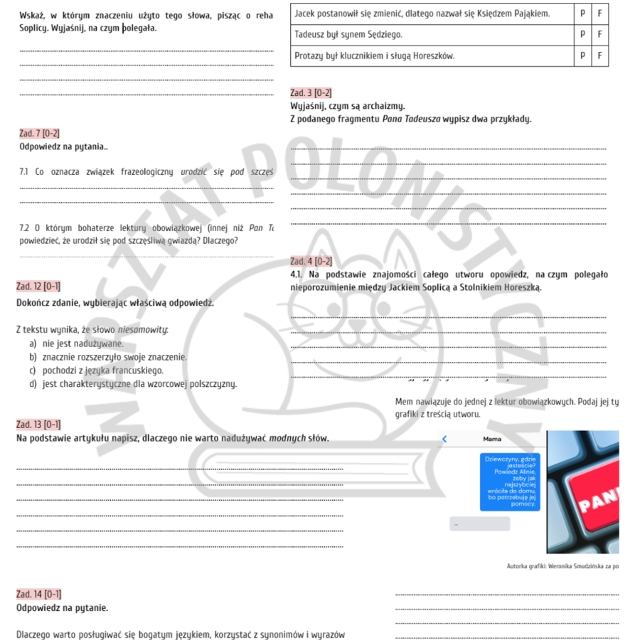 Egzamin ósmoklasisty - przykładowy arkusz nr 6 / Pan Tadeusz, język, wyrazy modne i nadużywane