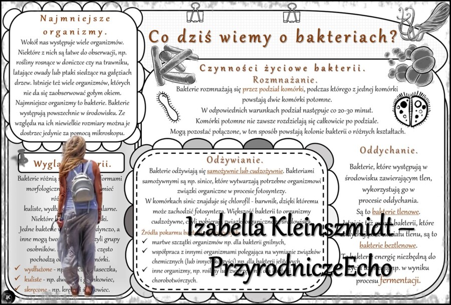 Sketchnotka/notatka/streszczenie/wklejka/ściąga dla ucznia i nauczyciela. Temat „Co dziś wiemy o bakteriach?” w pdf. Biologia 5 dział „Klasyfikacja i systematyka. Wirusy. Bakterie. Prostisty. Grzyby.”. Wykonana na podstawie podręcznika z wydawnictwa WSiP