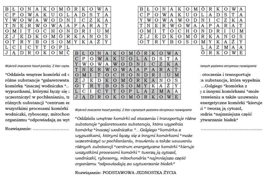 Wykreślanka dla klasy 5 na podsumowanie lekcji o komórce zwierzęcej