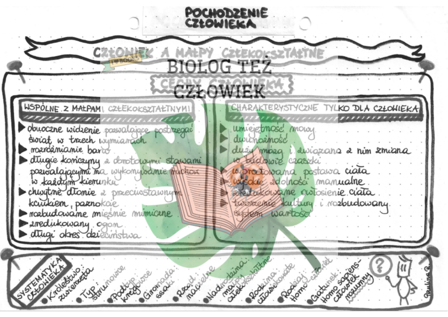 EWOLUCJONIZM (pochodzenie człowieka) – szrość