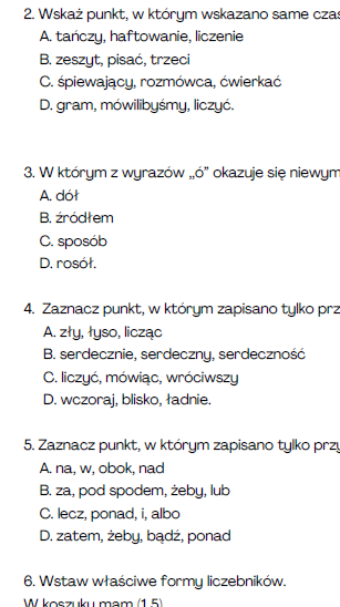 Egzamin ósmoklasisty - argumentacja 3, kartkówka, gramatyka, ortografia