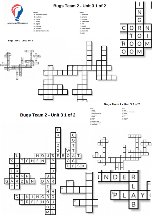Bugs Team 2 – Unit 3 – krzyżówki